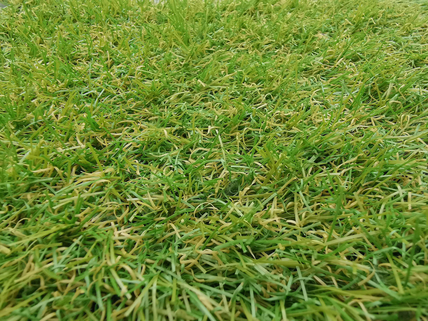 Umělá tráva Apollo 25 zelený