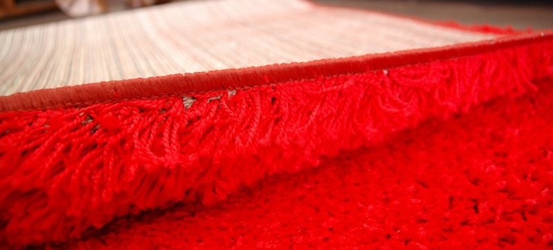 Běhoun Shaggy Parisian červený