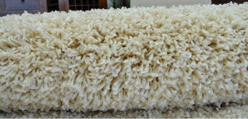 Běhoun Shaggy Parisian světle béžový