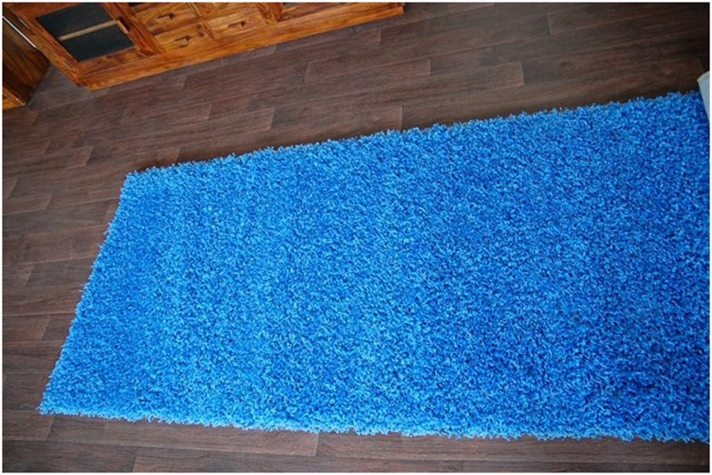 Běhoun Shaggy Parisian modrý