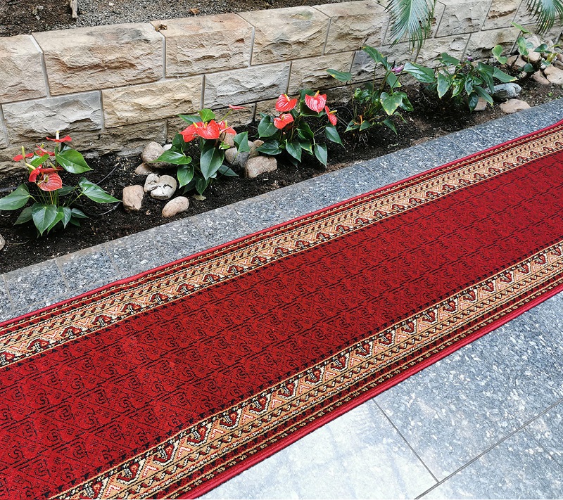 Běhoun Rogatek bordó